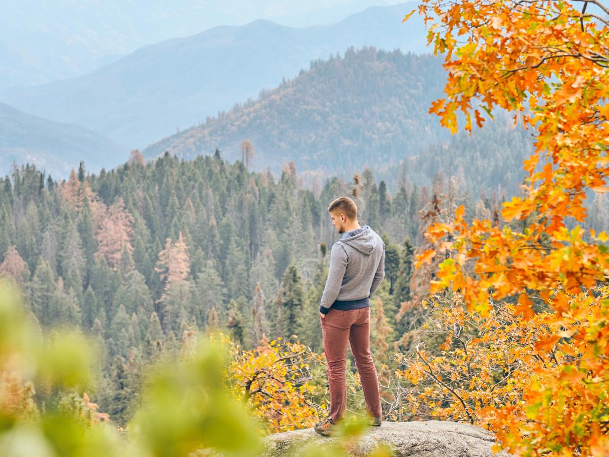 Sequoia in the Fall: When the Big Trees Get the Park Back